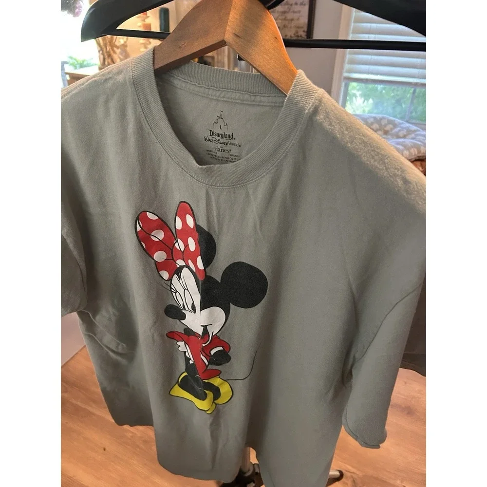 N/A this disneyland
